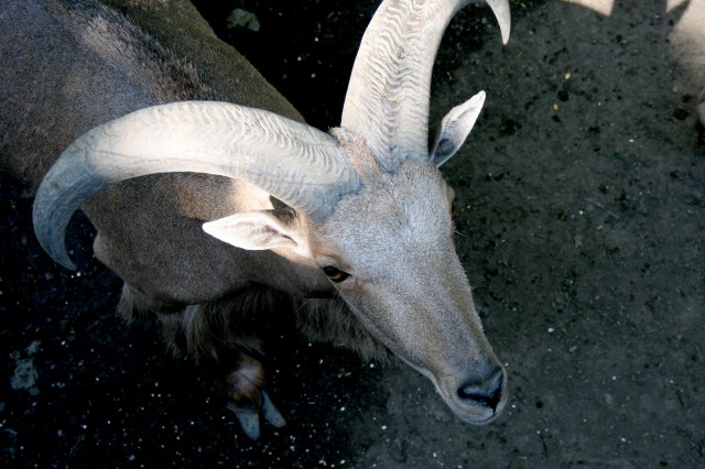 Klotti Wild- und Freizeitpark