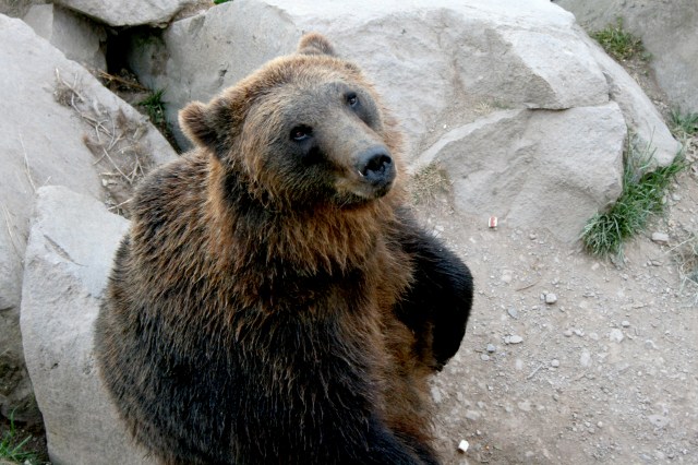 Klotti Wild- und Freizeitpark