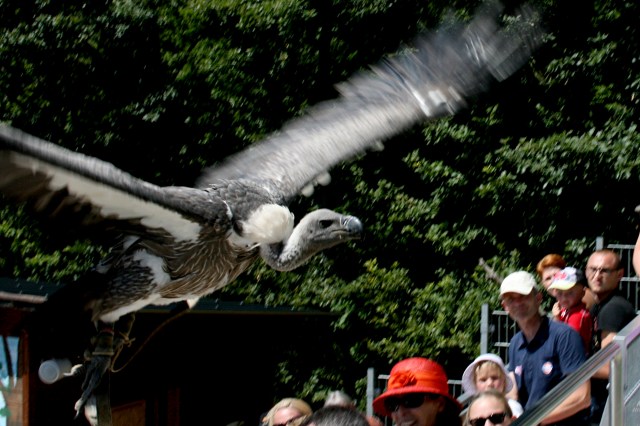 Klotti Wild- und Freizeitpark