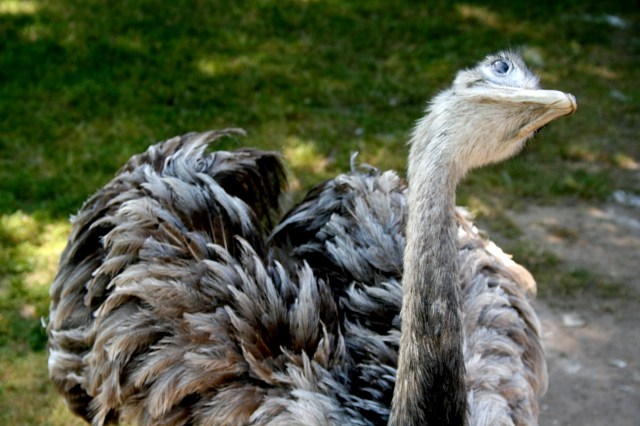 Klotti Wild- und Freizeitpark