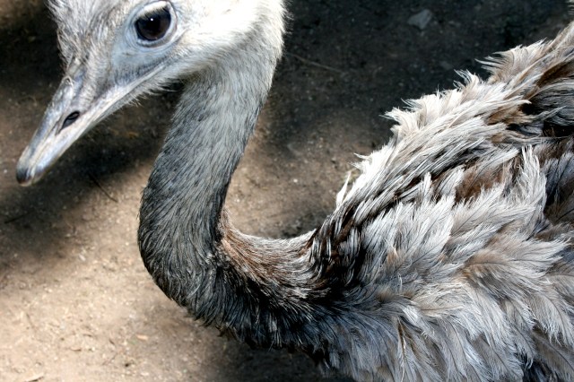 Klotti Wild- und Freizeitpark