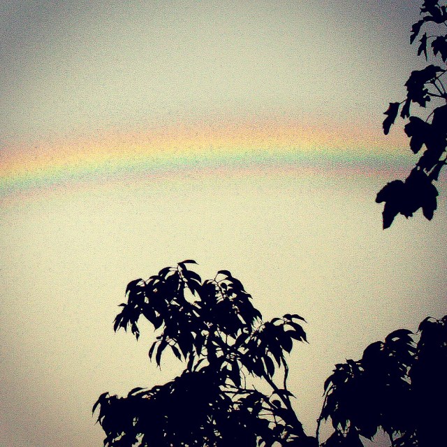 Rainbow