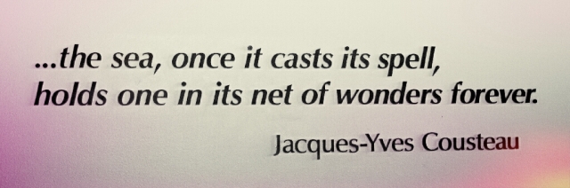 Quote Jacques-Yves Cousteau