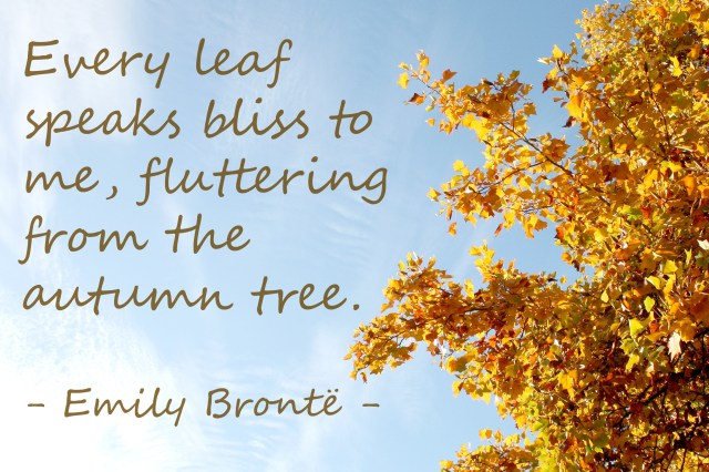 Fall Quote Emily Bronte