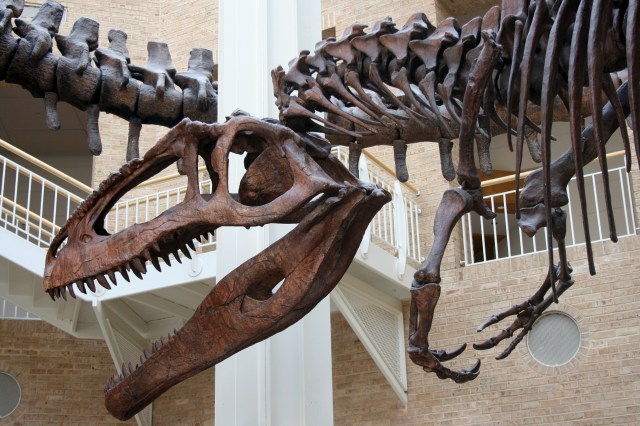 Atlanta Fernbank Museum