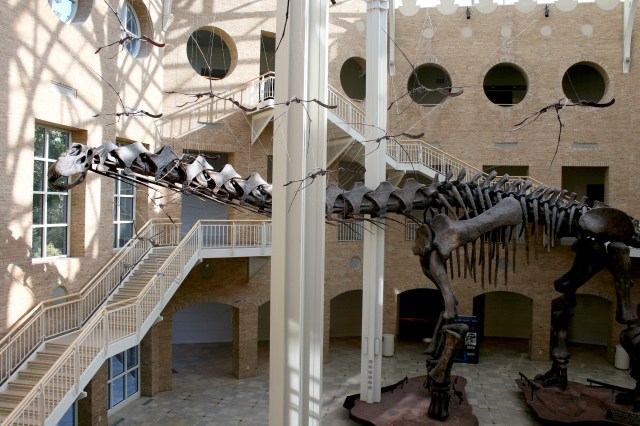 Atlanta Fernbank Museum