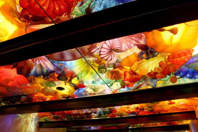 Chihuly Gardens Seattle