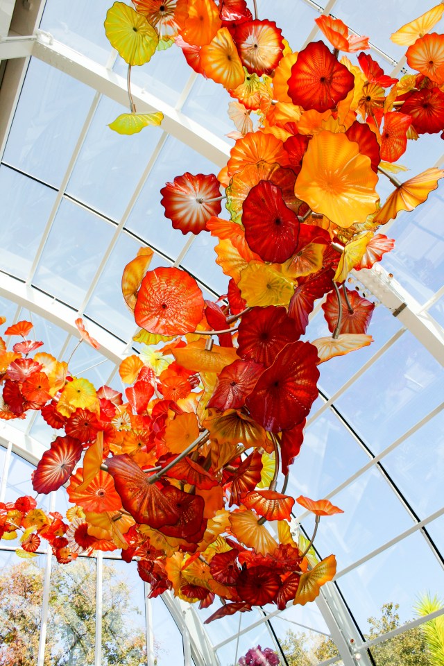 Chihuly Gardens Seattle